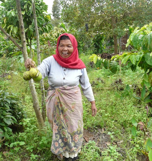 Sumatra-Bukittinggi-Local_1_393839