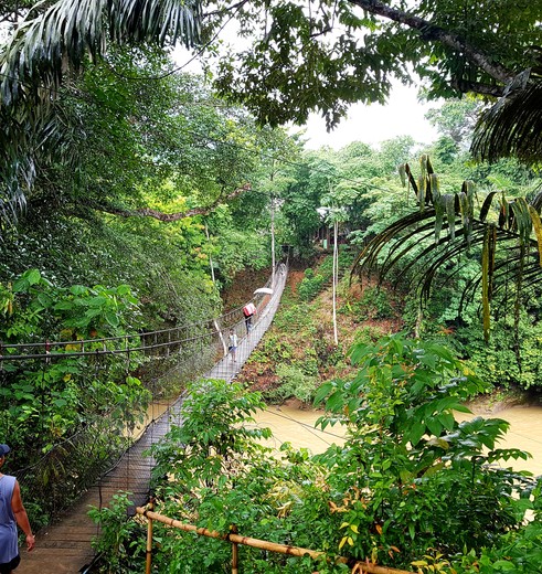 Via een hangbrug naar je verblijf in Tangkahan, Sumatra, Indonesië