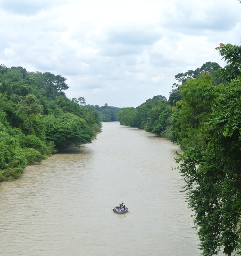 Tuben door de rivier in Tangkahan, Sumatra