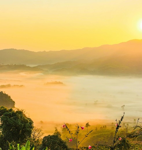 Zonsopkomst in Si-Nan National Park, Thailand