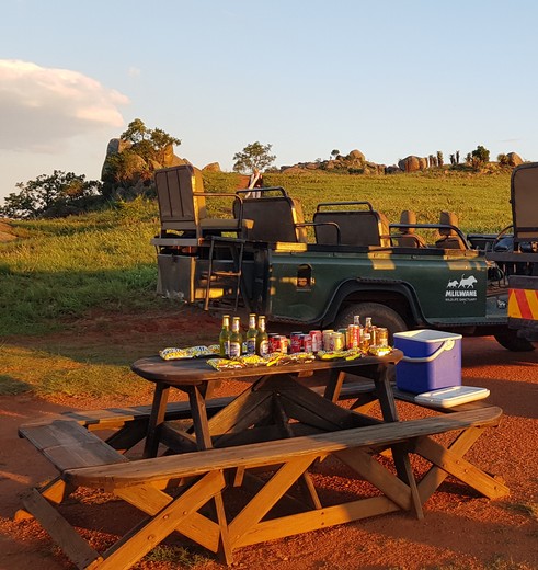 Een echte aanrader: op jeesafari met pichnick in Mlilwane Wildlife Sanctuary, Swaziland