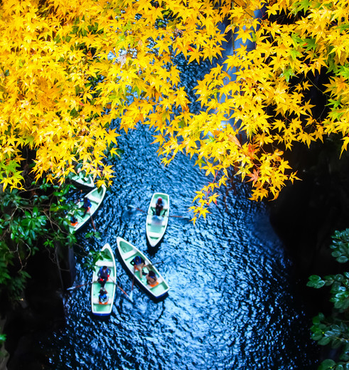 Takachiho_Gorge_Miyazaki_Kyushu_Japan_iStock_589967050_496257