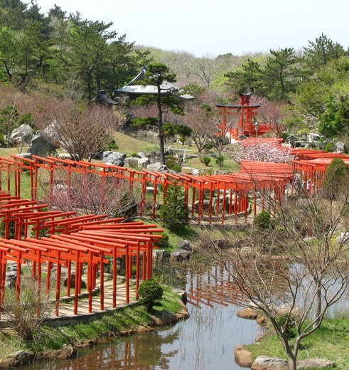 Kleurrijke torii-poorten in Kyoto
