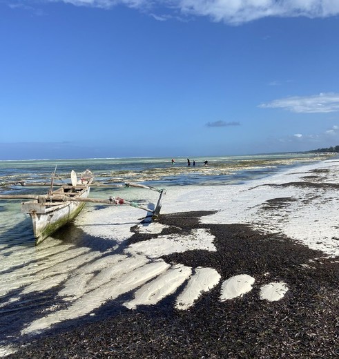 Strand op Zanzibar