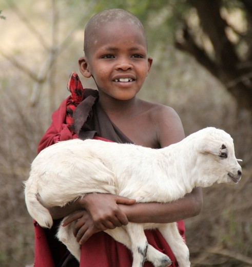 Een Masai kindje op pad met zijn schaapje