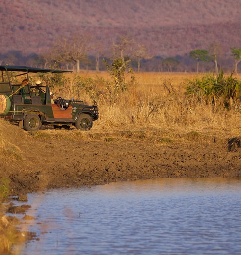 Safaritocht in Mikumi National Park, Tanzania Safaritocht in Mikumi National Park, Tanzania