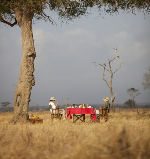 lunchen in Mikumi National Park lunchen in Mikumi National Park