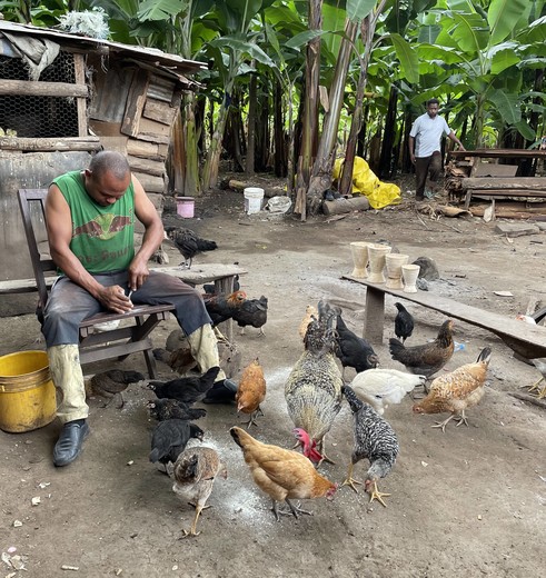 houtsnijwerken in Mto wa Mbu, Tanzania