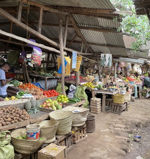 het lokale leven in Mto wa Mbu, Tanzania