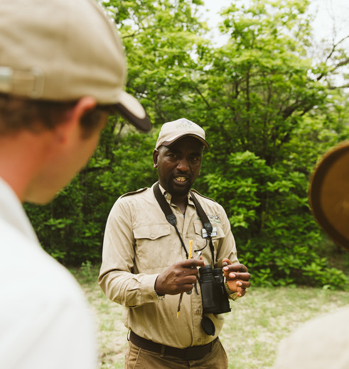 wandelsafari in Nyerere National Park wandelsafari in Nyerere National Park