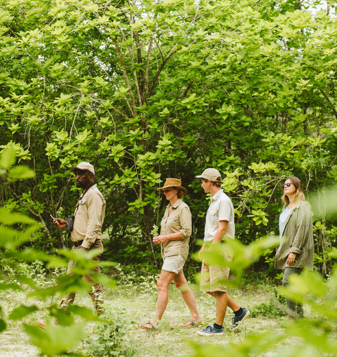 wandelen in Nyerere National Park, Tanzania wandelen in Nyerere National Park, Tanzania