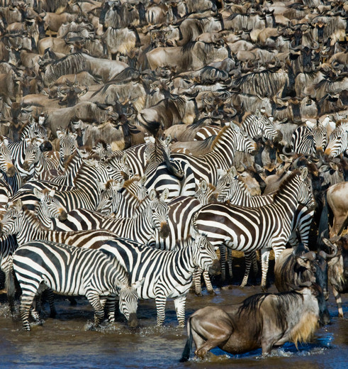 6bac9bda-9f52-4659-9942-56a890dd9500