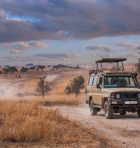 Op safari in Tanzania met Van Verre