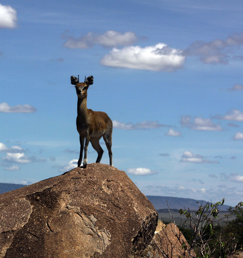 8e0ad55b-3aaf-4771-9220-a684a3245eda