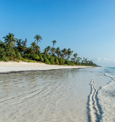 De Tanzania safari afsluiten op de witte stranden van Zanzibar