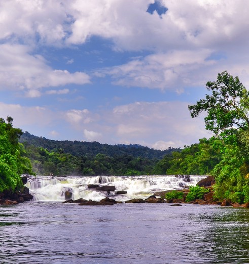 Ongerepte natuur op Koh Kong in Cambodja