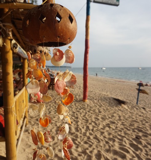 Thailand-Koh-Lanta-Schelpen