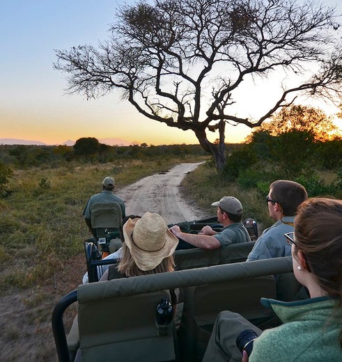 Op safari in Thorny Bush Private Game Reserve