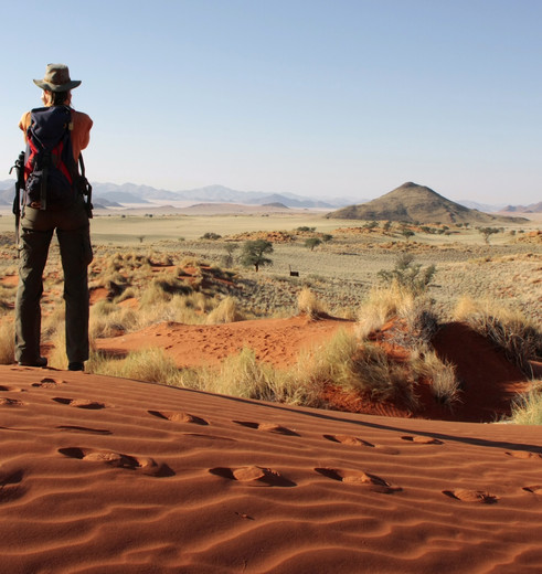 Bewonder de unieke natuur van Namibië