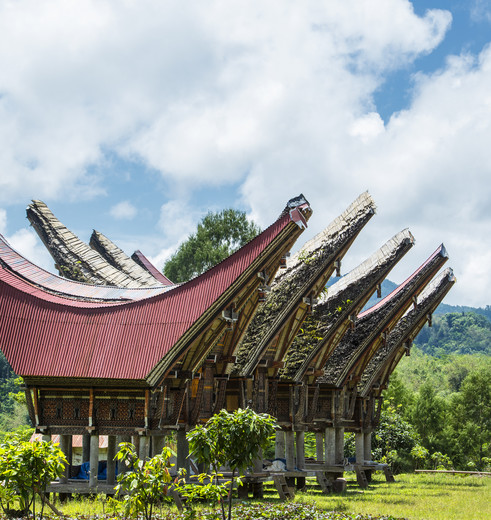 Tongkonan woningen van de Torajabevolking in Rantepao. Sulawesi