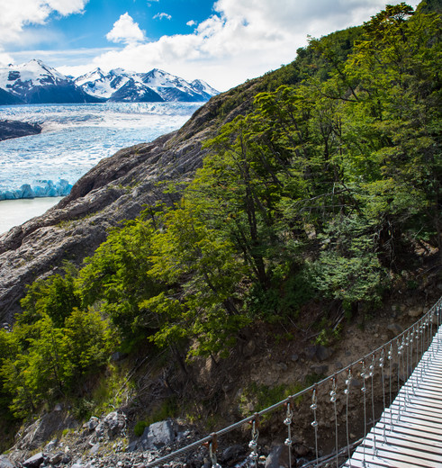 Torres-del-Paine-Wandelen2_1_431256
