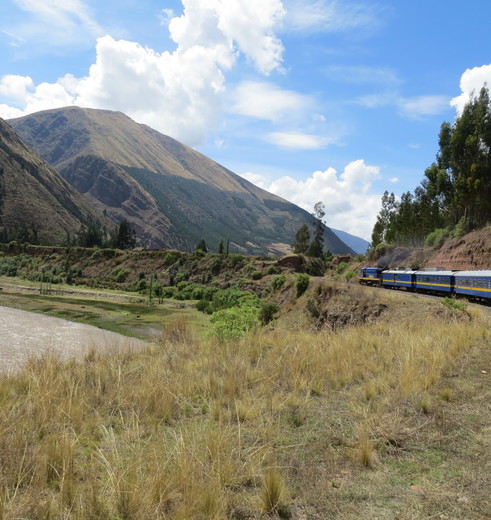 Trein-Andean-Explorer-45_1_415386