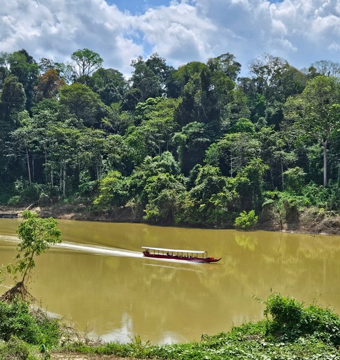 Op avontuur in de jungle van Taman Negara