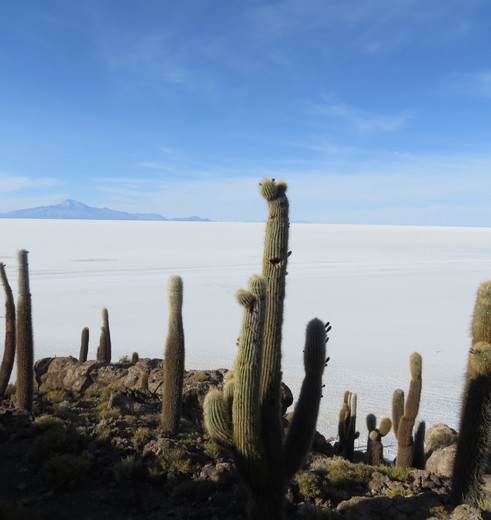 Uitzichten-zoutvlakte-Uyuni-Bolivia