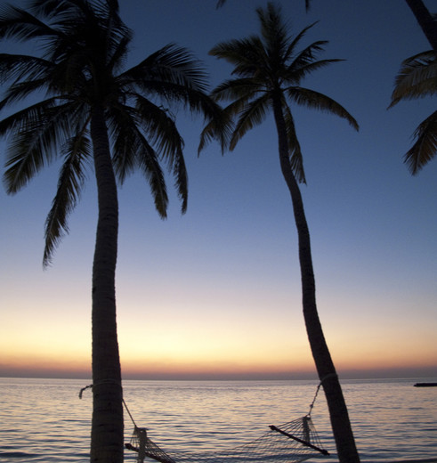 Veligandu_Island_Resort_Spa_Malediven_310638