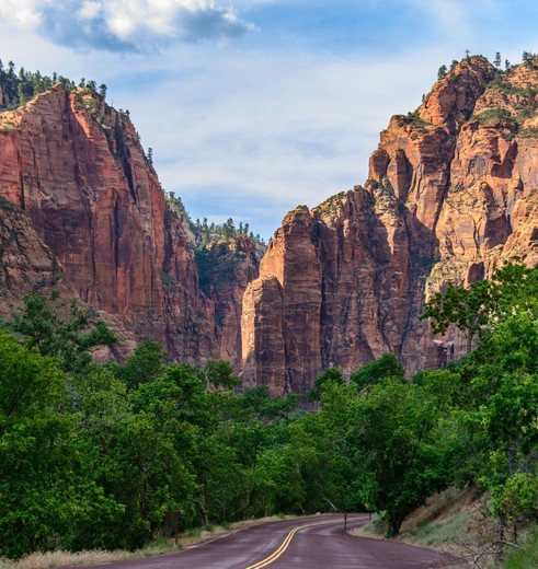 Ruige bergen in Zion National Park