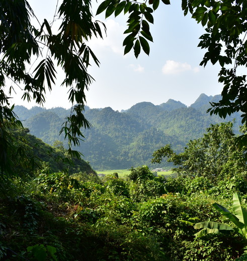 Uitzicht op de jungle van Ba Be