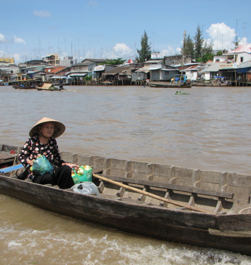 Een locale vrouw vaart over de Mekongdelta, Can Tho