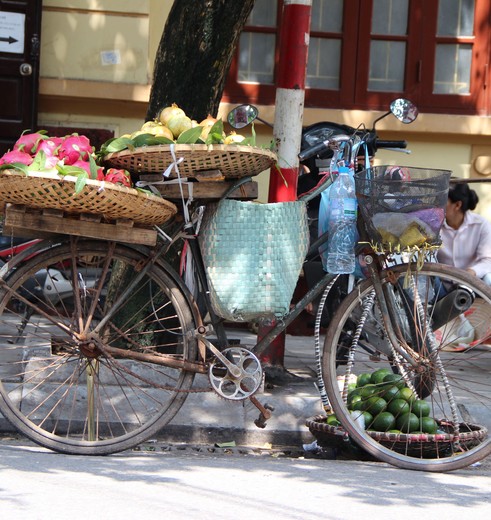 Straatverkopers in Hanoi gebruiken hun fiets als winkel, en verkopen de vreemdste soorten fruit, Vietnam
