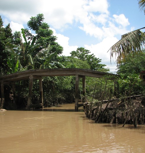 Vietnam-Mekongdelta-bruggetje_1_475318