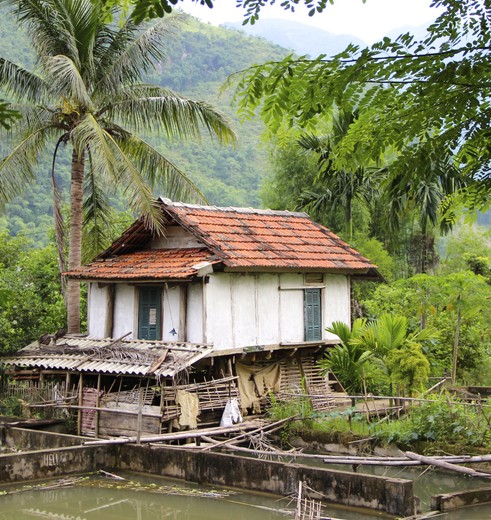 Vietnam-Noord-Vietnam-Mai-Chau-huisje_2_247265