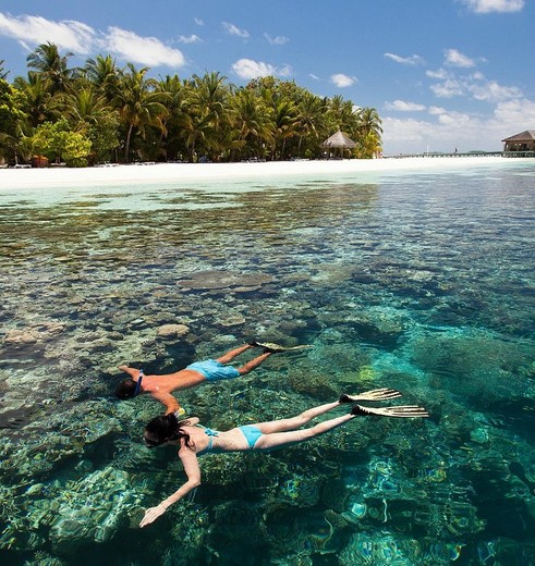 Vilamendhoo-snorkelen, Malediven