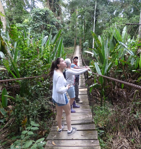 Wandel-op-een-hangbrug-en-spot-de-dieren-om-je-heen_1_341550