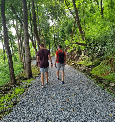 Wandelen door het regenwoud Khao Sok NP, Thailand