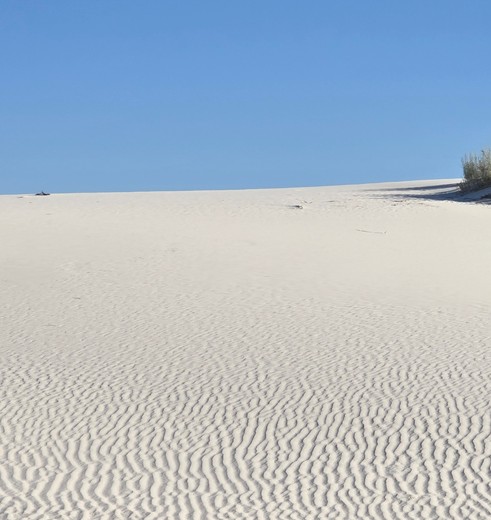 Spierwitte zandvlaktes bij White Sands National Park, New Mexico, Amerika