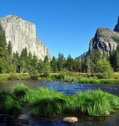 Yosemite-National-Park-4