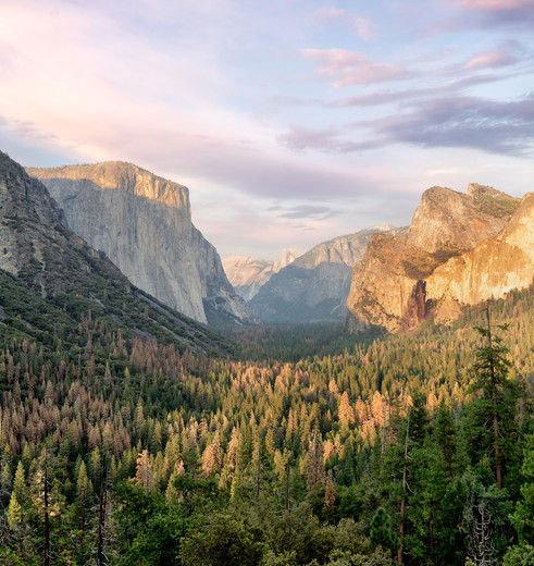 Van San Francisco naar Las Vegas via Yosemite National Park