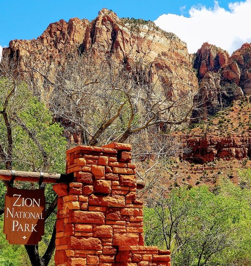 Zion-National-Park-10