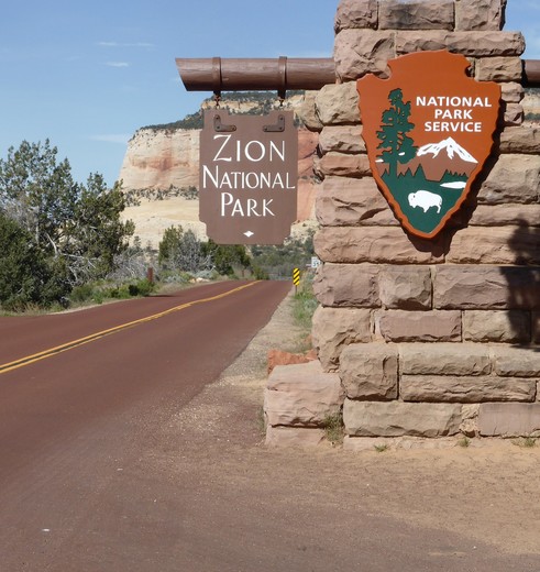 Zion-National-Park-11