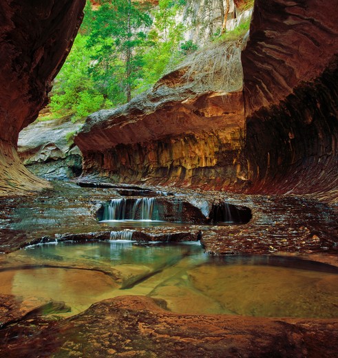 Prachtige wandelingen door de natuur in Zion National Park