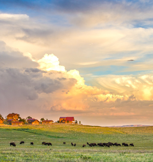 Bezoek Zion-Zion-Mountain-Ranch in Amerika