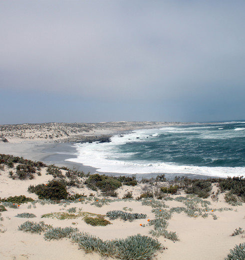 Zuid-Afrika-Namakwaland