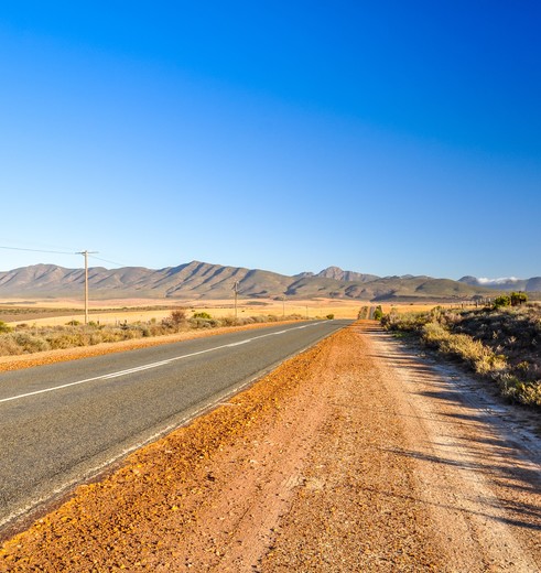 Onderweg in de Karoo