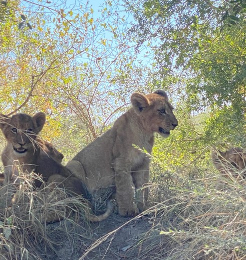 Kruger National Park