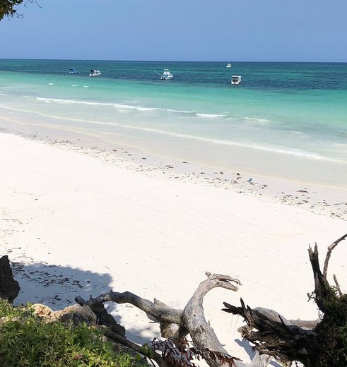 Het is genieten aan het strand bij Diani Beach bij het Baobab resort