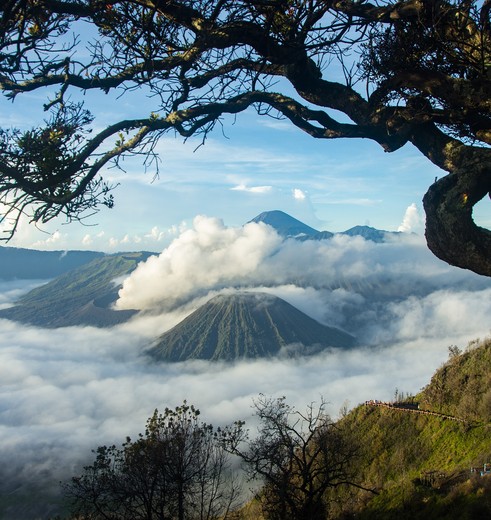 Zonsopgang bij de Bromo op Java, Indonesie